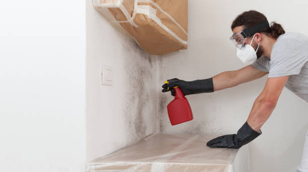 Professional Attic Mold Removal technician working in Atlanta, IL