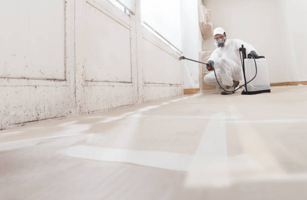 24/7 Emergency Attic Mold Removal experts in Atlanta, IL